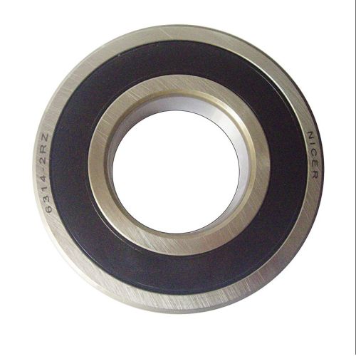 Electric Motor Bearing