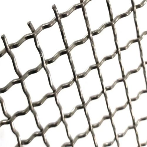 Galvanized Crimped Wire Mesh