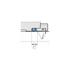 slip ring seal   