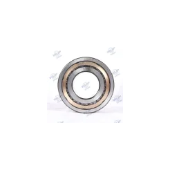 Single-Row Cylindrical Roller Bearings