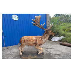 Realistic Animatronic Animals for Sale