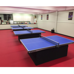 PVC Table Tennis Flooring