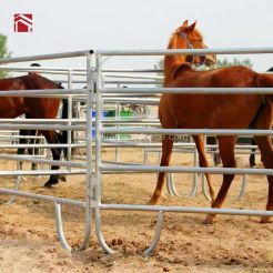 Pipe Fencing For Cattle