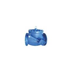 Swing Check Valve With Lever And Weight